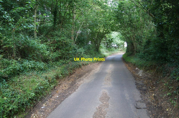 Photo 6"x4" Waltham Lane - direction North Waltham Overton\/SU5149 c2014