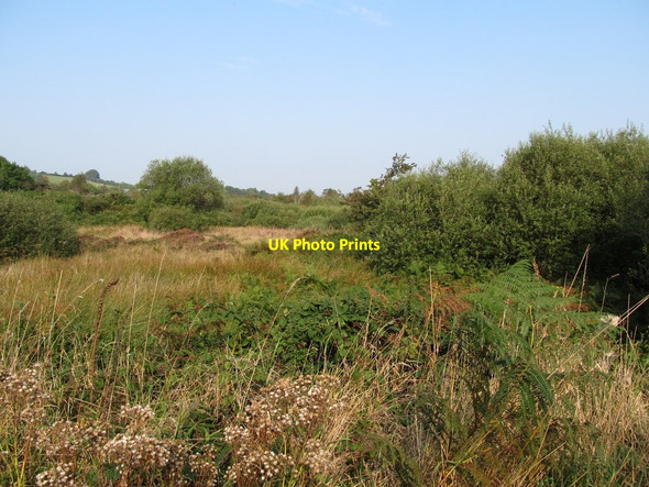 Photo 6"x4" Annaghmare Bog Crossmaglen c2014