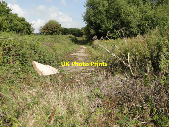 Photo 6"x4" Part of a concrete roadway at Theberton airfield Leiston c2014