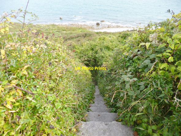 Photo 6"x4" Grove, steps Fortuneswell c2014