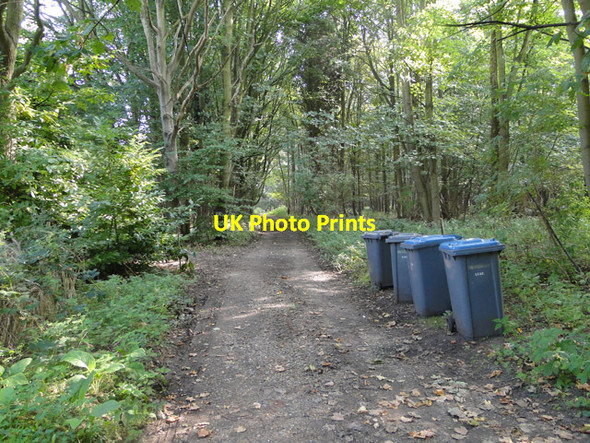 Photo 6"x4" Entrance to Greyfriars Wood Dunwich c2014