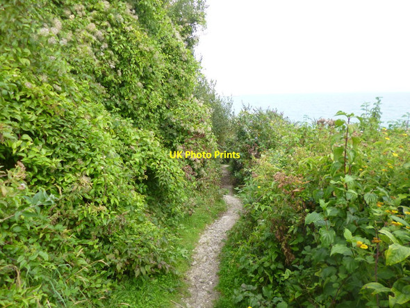 Photo 6"x4" Grove, footpath Fortuneswell c2014