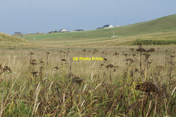 Photo 6"x4" Valley of the Burn of Norwick at Northdale Northdale\/HP6413 c2014