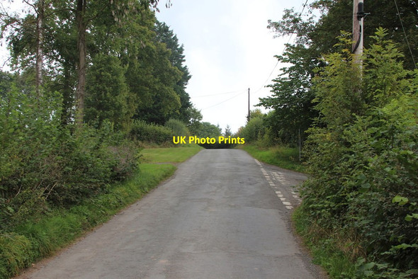 Photo 6"x4" Lane past Berrington Court Berrington\/SO5767 c2014