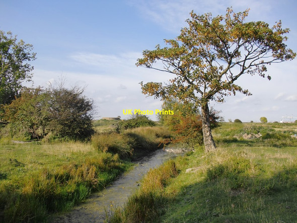Photo 6"x4" Marsh ditch near the Poplars Cliffe\/TQ7376 c2014