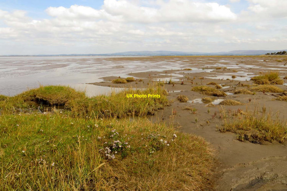 Photo 6"x4" Pilling Marsh meets Preesall Sands Pilling Lane c2014