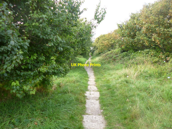 Photo 6"x4" Fortuneswell, Merchant's Incline Fortuneswell c2014