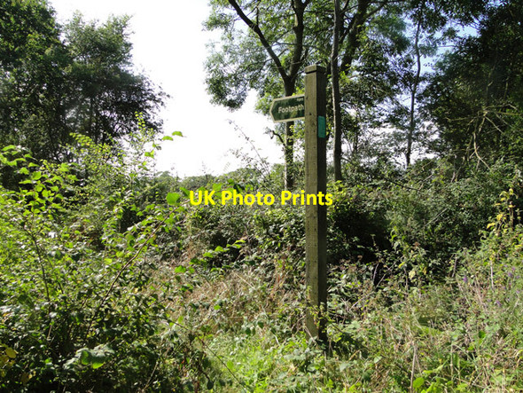 Photo 6"x4" Overgrown footpath Theberton c2014