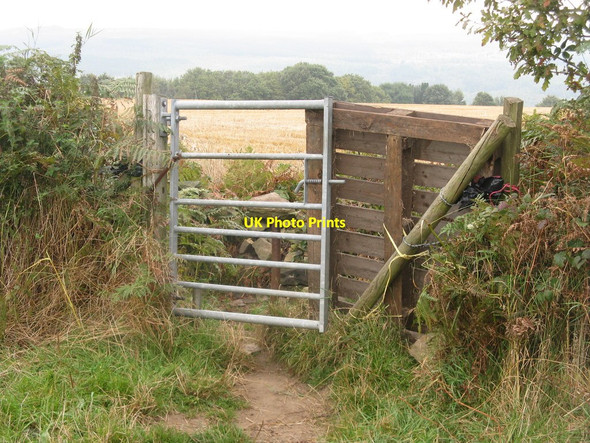 Photo 6"x4" Gate on the path Worrall c2014