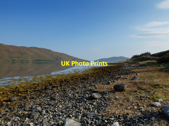 Photo 6"x4" Shoreline of Loch Ainort Luib c2014