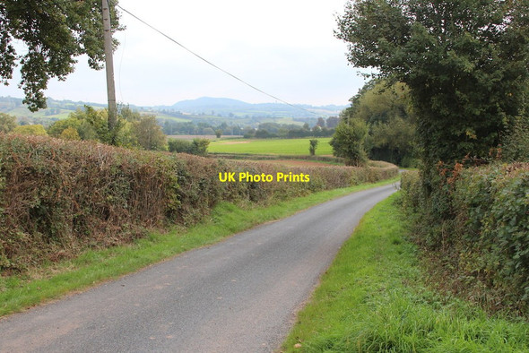 Photo 6"x4" Orleton Lane Orleton\/SO6967 c2014
