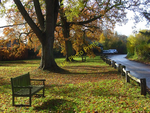 Photo 6"x4" The green, Fawley Fawley\/SU7586 c2008