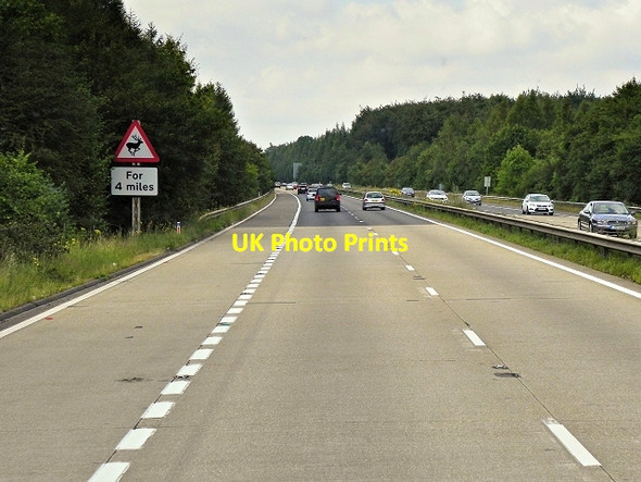 Photo 6"x4" Northbound M3, Itchen Wood Micheldever c2014