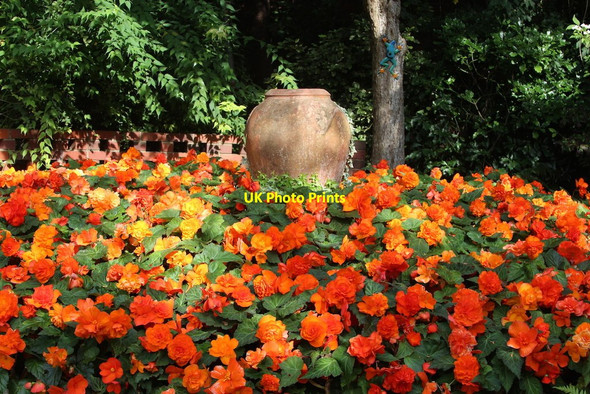 Photo 6"x4" Greyfriars garden Worcester c2014