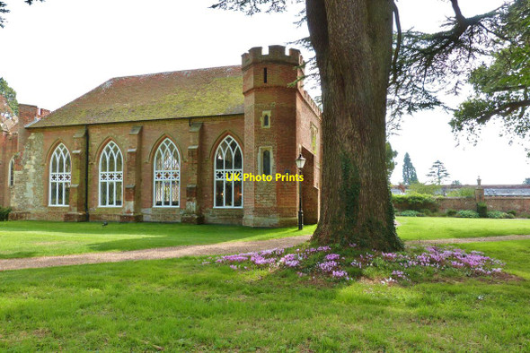 Photo 6"x4" Lovely display of cyclamen, Stansted House Estate Stubbermere c2014