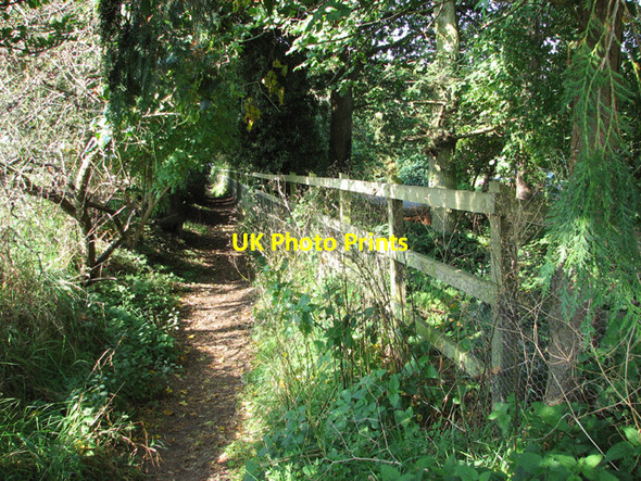 Photo 6"x4" Footpath past Redwing Farm Salhouse c2014