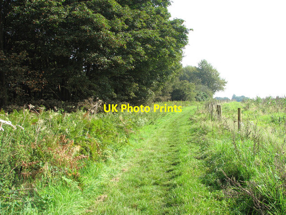 Photo 6"x4" Footpath past Hagg Wood Salhouse c2014