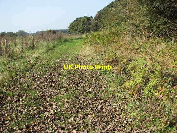 Photo 6"x4" Footpath past Hagg Wood Salhouse c2014