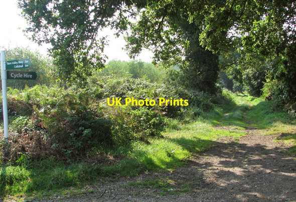 Photo 6"x4" To the Cycle Hire Cangate c2014