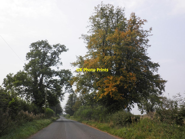 Photo 6"x4" Minor Road to Fosse Gate Foscote\/ST8679 c2014