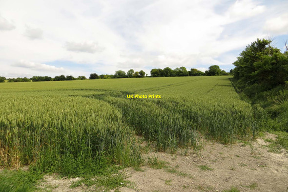 Photo 6"x4" An arable field near Idstone Bishopstone\/SU2483 c2014