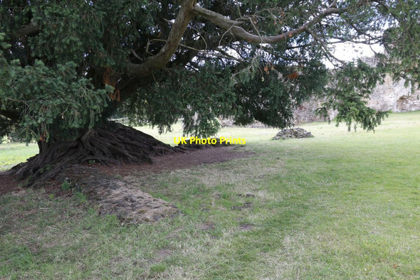 Photo 6"x4" Corner of the chancel Farnham\/SU8446 c2014