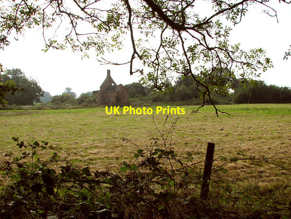 Photo 6"x4" Ruin by Steward's Plantation RAF Coltishall c2014