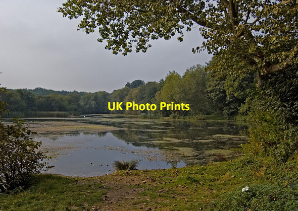 Photo 6"x4" Lake at Oare Gunpowder Works Country Park Faversham c2014