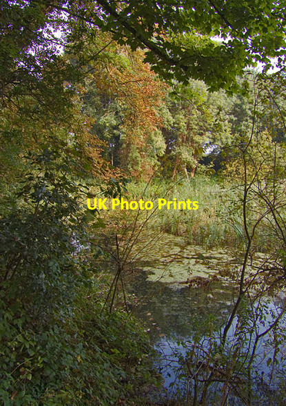 Photo 6"x4" Oare Gunpowder Works millpond Faversham c2014