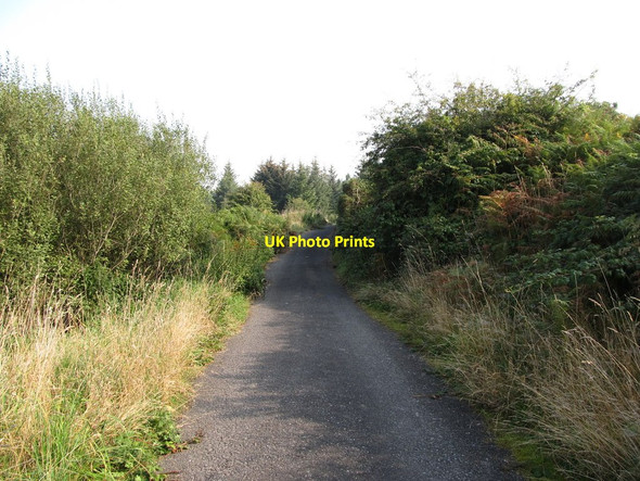 Photo 6"x4" Roadway to Annaghmare Forest Crossmaglen c2014
