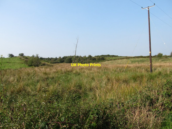 Photo 6"x4" Wetland west of Teer Road Crossmaglen c2014