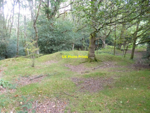 Photo 6"x4" Woodgreen, former gravel pit Woodgreen\/SU1717 c2014