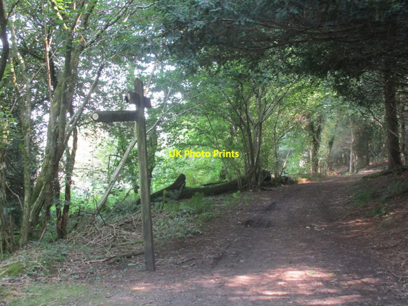 Photo 6"x4" Signpost in Briants Puddle Plantation Briantspuddle c2014
