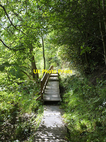Photo 6"x4" Border Abbeys Way above Hornshole Bridge Hawick c2014