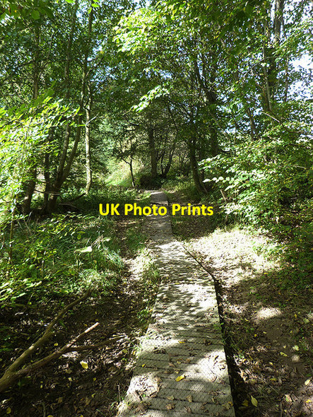 Photo 6"x4" Border Abeys Way above Hornshole Bridge Hawick c2014