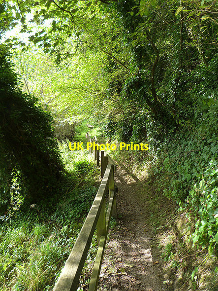 Photo 6"x4" Border Abbeys Way Horsleyhill c2014