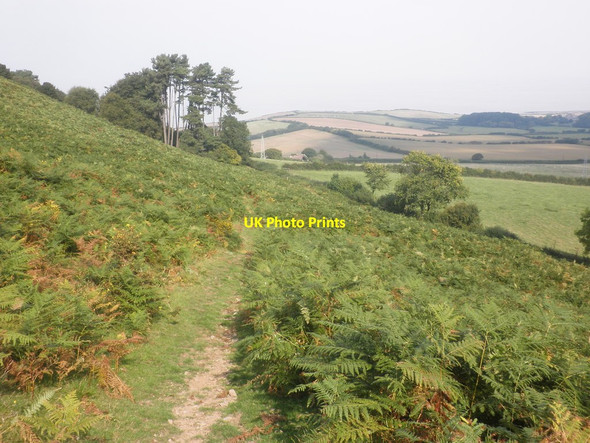 Photo 6"x4" Path on the east side of West Hill Amitabha Buddhist Centre c2014