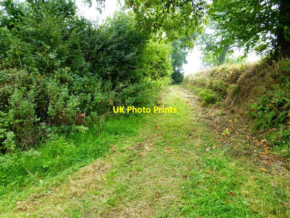 Photo 6"x4" Channel to Channel (214) Bishopswood c2014
