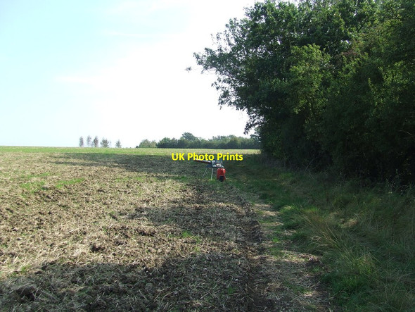 Photo 6"x4" Bird Scarer Sweffling c2014