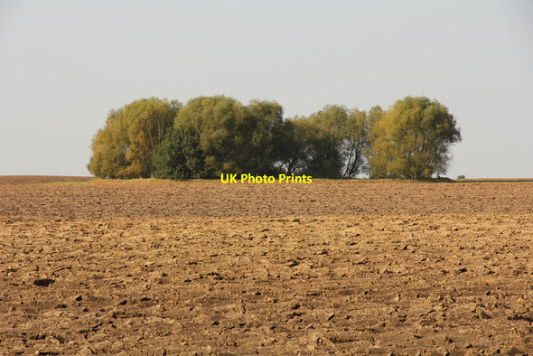 Photo 6"x4" Stain Hill Strubby\/TF4582 c2014