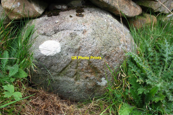 Photo 6"x4" Benchmark on boulder in wall at High Sprintgill Fell End\/SD7298 c2014