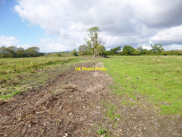 Photo 6"x4" Hale, footpath Woodgreen\/SU1717 c2014
