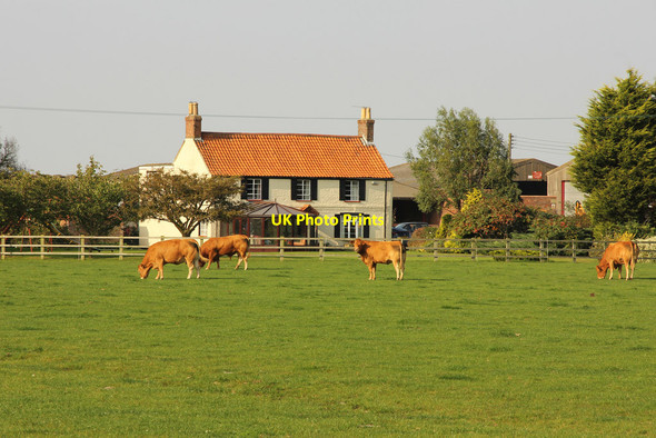 Photo 6"x4" Longlands Farm Strubby\/TF4582 c2014