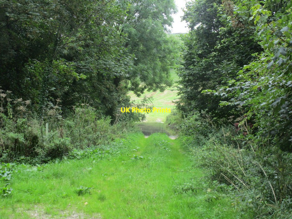 Photo 6"x4" Track to the Winterborne Winterbourne Steepleton c2014