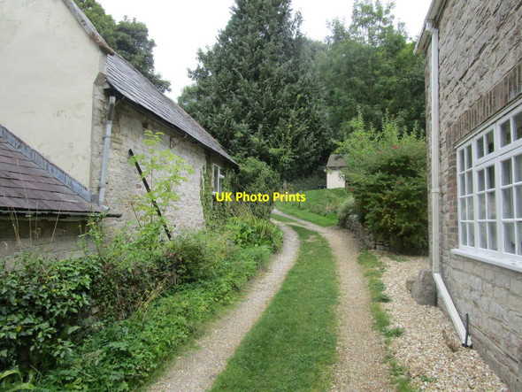 Photo 6"x4" Mill Lane, Winterbourne Steepleton Winterbourne Steepleton c2014