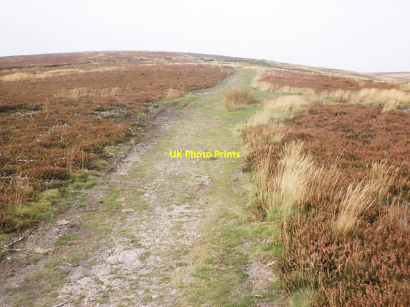 Photo 6"x4" Track on Beacon Hill Weacombe c2014