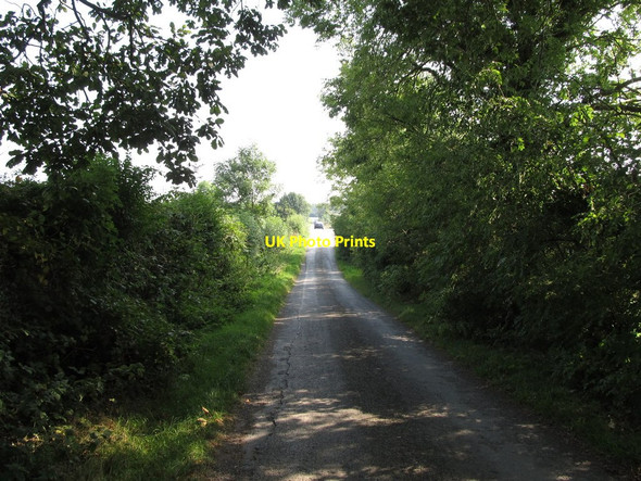 Photo 6"x4" View along the tree-lined Kiltybane Road south of the Anamar Primary School Cullyhanna c2014
