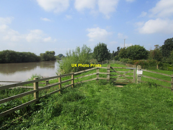 Photo 6"x4" The Severn bank at Minsterworth Elmore Back c2014