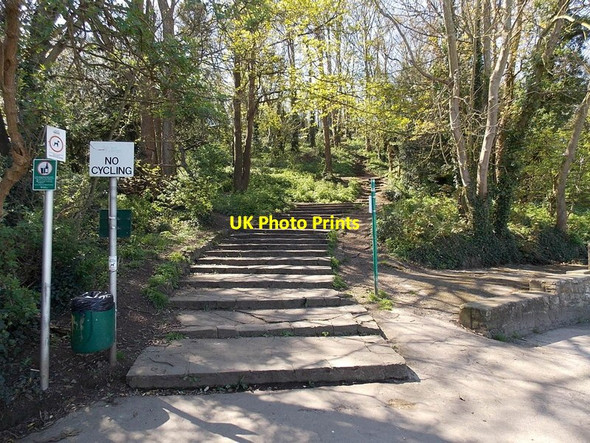 Photo 6"x4" Steps from Poets Walk, Clevedon Clevedon c2014