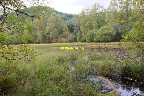 Photo 6"x4" Former curling pond, Logierait Woods Ballinluig\/NN9752 c2014